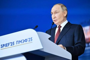 俄罗斯总统普京。（图：Sputnik）