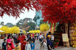 青年文化宫是年节举办各种活动的场所，得到众多市民到来游玩与拍照。