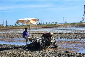 农民正加快整地并抓紧时间补种夏秋水稻。