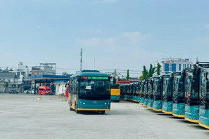 电动绿色巴士队。（图：Đ.T）