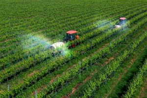 （示意图：互联网）