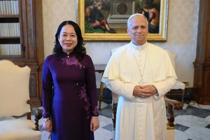 越南国家副主席武氏映春礼节性拜会了教皇良十四世。（图：越通社）