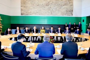 越南国家副主席武氏映春与德国联邦议会副议长博多‧拉梅洛举行会谈。（图：越通社）