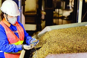 德乐2-9进出口公司监控出口咖啡的质量。