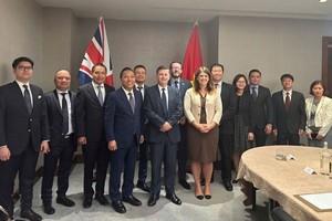 阮黄龙副部长与英国贸易政策国务大臣道格拉斯‧亚历山大及两国各部委、使馆代表在第十四次JETCO会议上合影留念。（图：越通社）