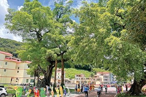 （示意图：互联网）