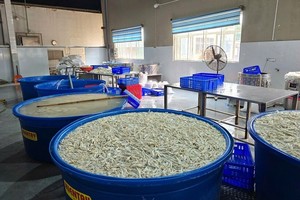 职能力量突查发现有近7吨鸡爪被浸泡在化工原料中进行漂白。（图：工商杂志）