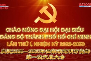  庆祝2025－2030年任期胡志明市党部第一次代表大会 