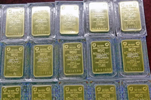 （图：越通社）