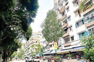 阮廌公寓(菜园)区，安然恬静的一隅。