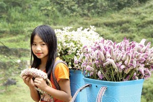 摄影家刘佩欐的《春回》作品。