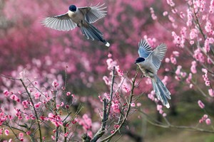 （示意图：互联网）