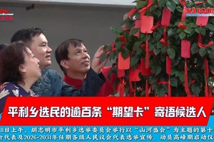  平利乡选民的逾百条“期望卡”寄语候选人