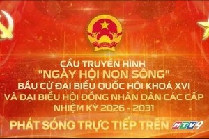 第十六届国会代表和2026-2031年任期各级人民议会代表选举现场直播