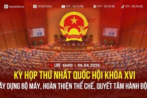 现场直播：越南第十六届国会第一次会议