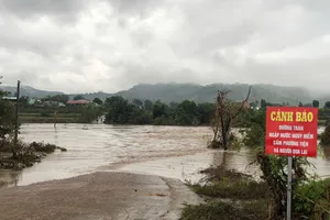 Lũ đang xuống dần trên các sông ở Nam Trung bộ
