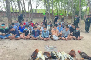 Công an TPHCM triệt phá nhiều tụ điểm cờ bạc quy mô