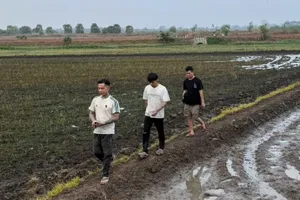 Tây Ninh: Tạm giữ các đối tượng nhập cảnh trái phép, bị truy nã