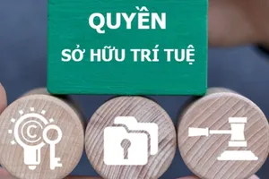 Doanh nghiệp cần tuân thủ chặt chẽ quy định về sở hữu trí tuệ trước cảnh báo của Hoa Kỳ