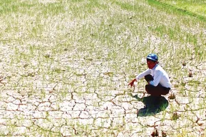 El Nino đã xuất hiện, dự báo rất mạnh ở Việt Nam