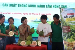 TPHCM: Nông dân thi livestream quảng bá, bán nông sản