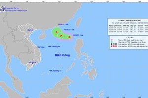 8月8 日的热带低气压位置。