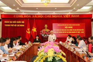 胡志明市国会代表团团长阮文利发表讲话。