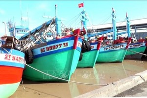 以生动直观的形式加大宣传力度 打击IUU捕捞活动。图自越通社