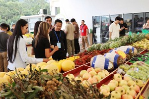 越南水果在中国市场广受欢迎