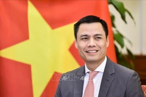 越南外交部副部长邓黄江。