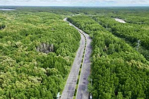 连接胡志明市与芹耶市中心之都市铁路线项目。