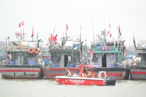 职能力量检查岘港市渔船停泊情况。