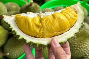 越南对台湾蔬果出口量增长