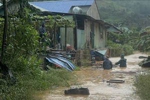 洪水高涨，致岘港市阿王乡民房受淹。