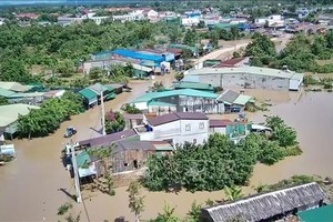 初步统计第13号台风“海鸥”造成直接经济损失约7万零500亿元。