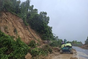 图: 贾岭上的一个滑坡地点。