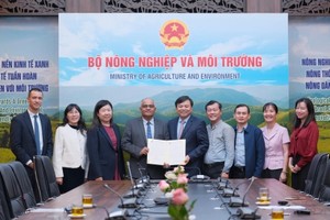 亚行宣布向越南中部提供200万美元援助 支持洪灾后恢复。