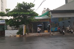 胡志明市出现逆季阵雨。
