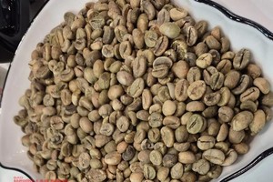 咖啡价格在每公斤10万元和每吨4000美元左右波动。