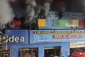 同奈省隆庆坊一家电器商店发生火灾，造成2人身亡。