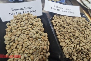 1月22日咖啡价格大幅上涨。