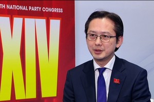 越南常驻联合国代表团团长杜雄越大使接受越通社记者的采访。