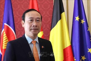 越南驻比利时王国特命全权大使、越南驻欧盟代表团团长阮文草接受越通社记者采访。