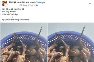 阿O在社交网兜售无合法证件的野生鸟。