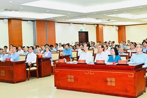 出席胡志明市272会议中心分会场的代表们。