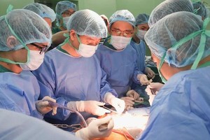 医生们进行多器官获取与移植手术。