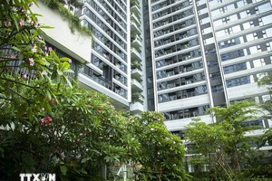 绿色建筑加速发展，越南在LEED排名中大幅攀升。