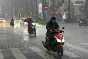  胡志明市在连续酷热天气后迎来一场“黄金雨”降温。