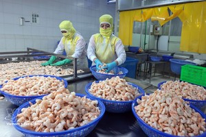 越南水产行业主动适应新形势 迎接新挑战