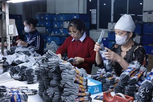 纺织品、皮鞋类在“自家主场”仍具巨大潜力。